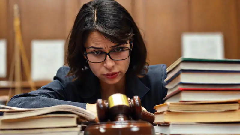 La ley ofrece protección y refugio seguro